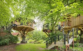 Baumhaus Solitär